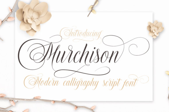 Murchison: Elevate Your Designs with Bold Script Typography