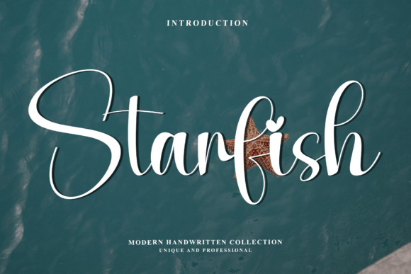 Starfish: Elevating Modern Design with Fluid Script Typography
